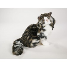 Norwegian Forest Cat Kitten 2466 by Piutrè