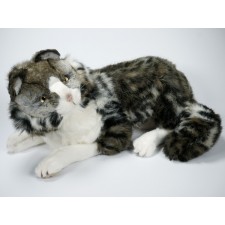 Norwegian Forest Cat 2465 by Piutrè