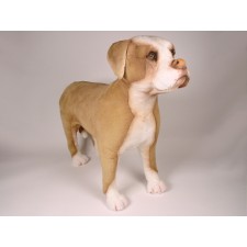 Pit Bull 3268 by Piutrè 