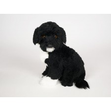 Portuguese Water Dog Puppy 4226 by Piutrè