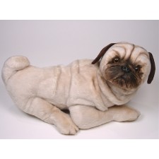 Pug 2248 by Piutrè