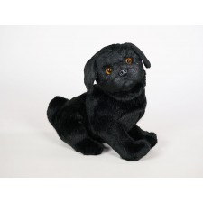 Pug Puppy 3374 by Piutrè
