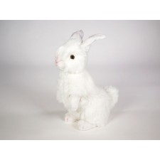 Rabbit 0629 by Piutrè
