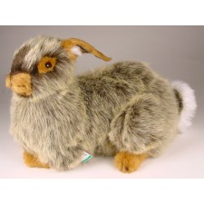 Rabbit 0632 by Piutrè