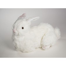 Rabbit 0631 by Piutrè