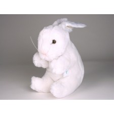 Rabbit 0708 by Piutrè