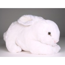 Rabbit 0709 by Piutrè