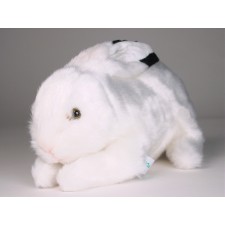 Rabbit 0710 by Piutrè
