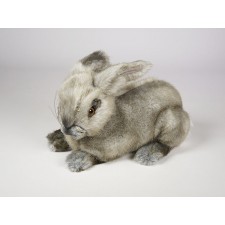 Rabbit 0721 by Piutrè