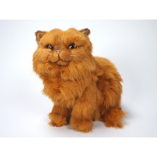 Red Persian Kitten 2454 by Piutrè
