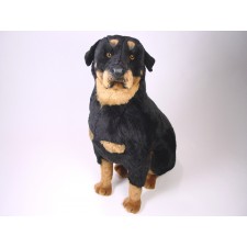 Rottweiler 2257 by Piutrè