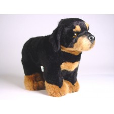 Rottweiler Puppy 3308 by Piutrè 