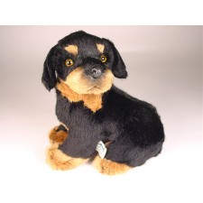 Rottweiler Puppy 3309 by Piutrè 