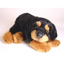Rottweiler Puppy 3310 by Piutrè 