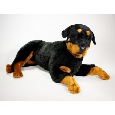 Rottweiler 2258 by Piutrè