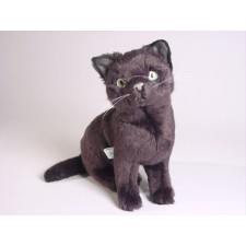 Russian Blue Kitten 2352 by Piutrè 