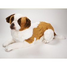 Saint Bernard 3227 by Piutrè 
