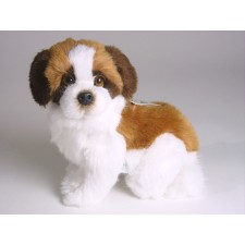 Saint Bernard Puppy 1306 by Piutrè