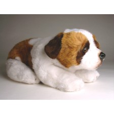 Saint Bernard Puppy 2297 by Piutrè 