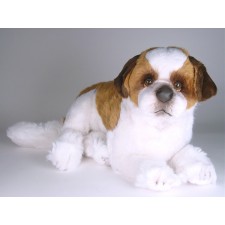 Saint Bernard Puppy 4228 by Piutrè 