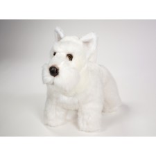 Scottish Terrier 0261 by Piutrè 