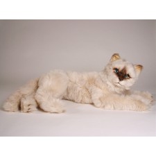 Seal Point Himalayan ​Cat ​2364 by Piutrè 