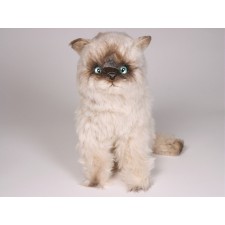 ​Seal Point Himalayan Cat 2366 by Piutrè 