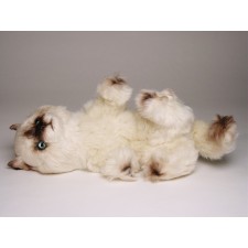 ​Seal Point Himalayan ​Kitten 23​67 by Piutrè 