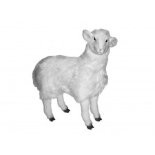 Sheep 2406 by Piutrè 