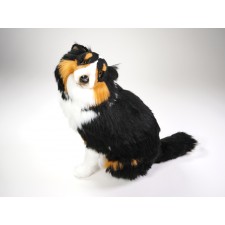 Shetland Sheepdog 3320 by Piutrè 