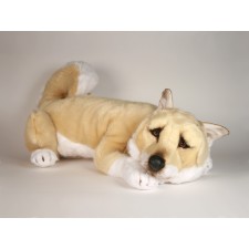 Shiba Inu 1247 by Piutrè 