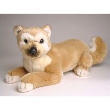 Shiba Inu Puppy 1249 by Piutrè