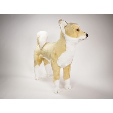 Shiba Inu 1246 by Piutrè 