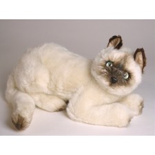 Siamese Kitten 2346 by Piutrè 