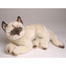 Siamese Kitten 2347 by Piutrè 