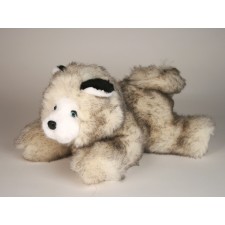 Siberian Husky Puppy (Morbidone) 2610 by Piutrè 