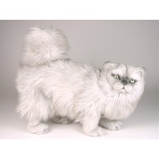 Silver Persian Cat 2436 by Piutrè 