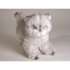 Silver Persian Kitten 2426 by Piutrè 