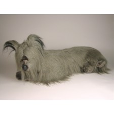 Skye Terrier 1267 by Piutrè