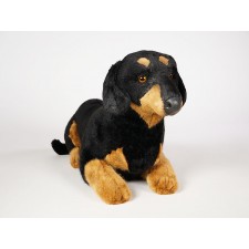 Smooth Dachshund 1211 by Piutrè