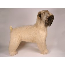 Soft-Coated Wheaten Terrier 0254 by Piutrè
