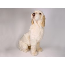 Spinone Italiano 2261 by Piutrè