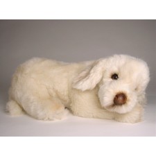 Spinone Italiano Puppy 2264 by Piutrè
