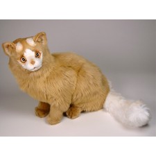 Turkish Van Cat 0326 by Piutrè