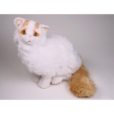 Turkish Van Cat 2316 by Piutrè