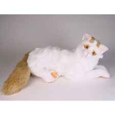 Turkish Van Cat 2317 by Piutrè
