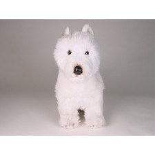 West Highland White Terrier 2275 by Piutrè