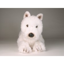 West Highland White Terrier 2276 by Piutrè