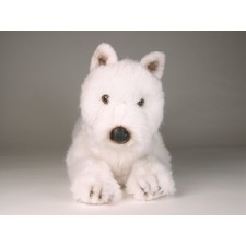 West Highland White Terrier 2276 by Piutrè
