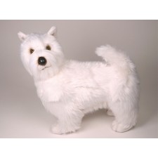 West Highland White Terrier 2277 by Piutrè 